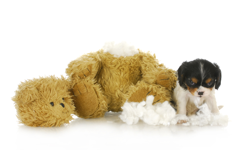 Clutter Removal and Hoarder Clean Up - The First Step to Reclaiming Your Space