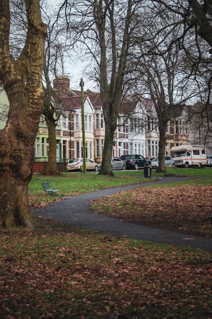 Roundwood Park Bulky Rubbish Removal Tips for Locals